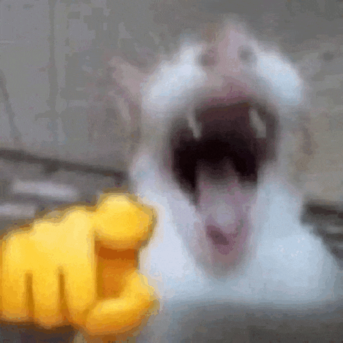 jeinextjaa