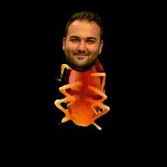 muratabigfsikkobocek