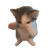 aldairlokowefsuycatbaile