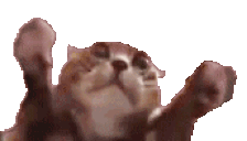 solidgreendayclappi