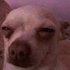 F1aisalhmmm emote