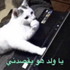 F1aisalhm emote