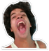 shawarD7k emote