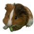 oguzkhandbilbo emote