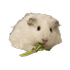 oguzkhandporo emote