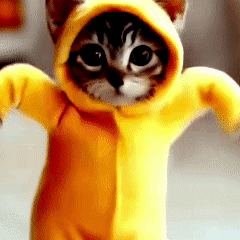 connerCAT4