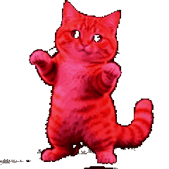 connerCAT5