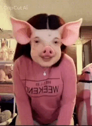 payasitazingkimicat