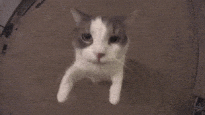 3eprrrKiss twitch emote