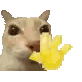 limonifymrb