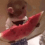 klashyyr emote