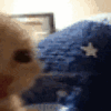 klashhj emote