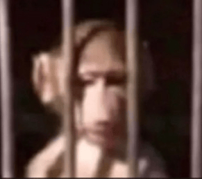 klashik emote