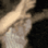 klashkllll emote