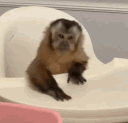 klashkaa emote