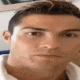 flamehosseinronaldo twitch emote