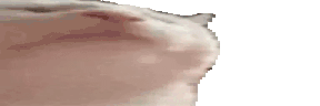 collectibleswidecatJam