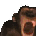 collectiblesMONKE