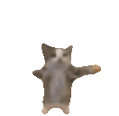 collectibleshappie