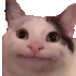 politeCat emote