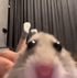 edamilkasonra emote