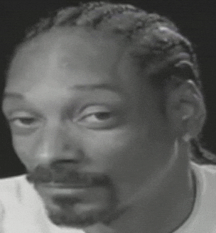 3eprrrSnopySepehr twitch emote