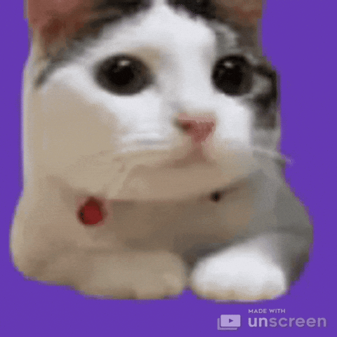 3eprrrnoway twitch emote