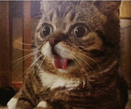 3eprrrnoway3 twitch emote