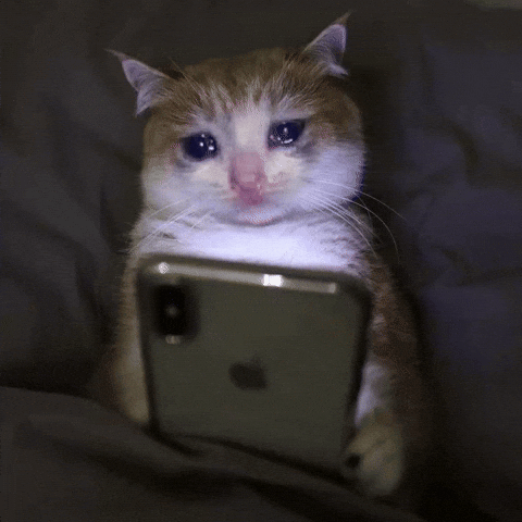3eprrrsad twitch emote
