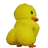 sh0k0ufjoojeshake twitch emote