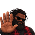 amirjavanNOPET twitch emote