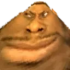 adamcybrug emote