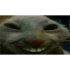 adamcyxdd emote