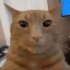 dosekaimicara emote