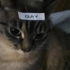 dosekaiweko emote