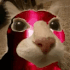 dosekaipapelcat emote