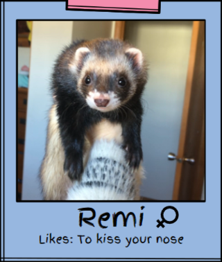 About SashaSpits - Watch Live on Kick