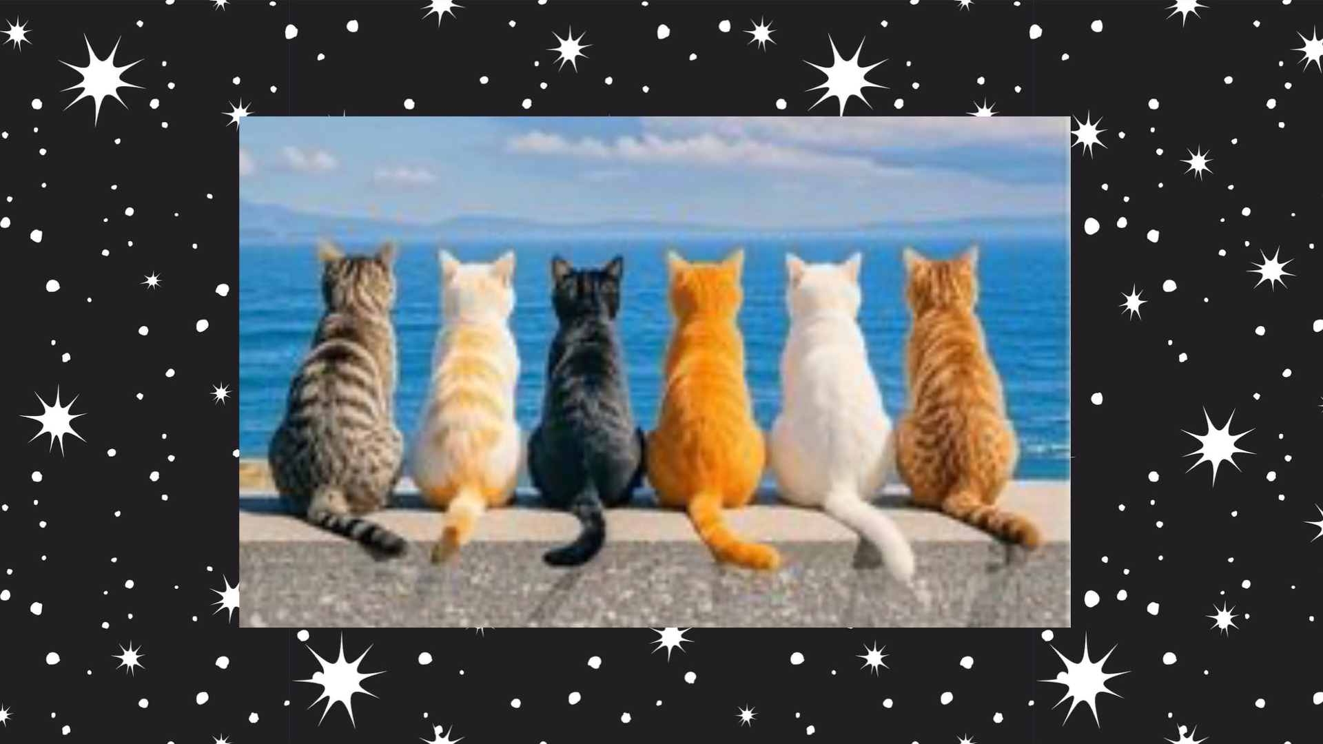 erina_deva_cats Stream - Watch Live on Kick