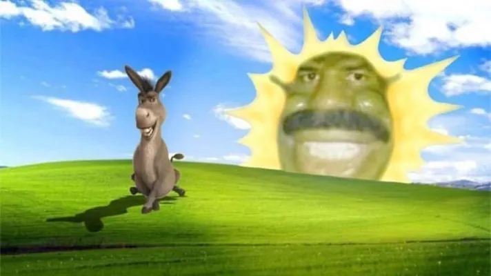 YOIMADRID