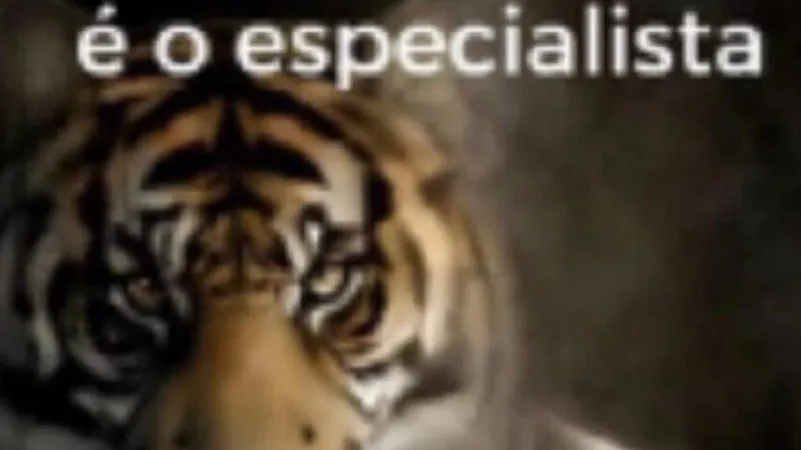 LucasNoDale
