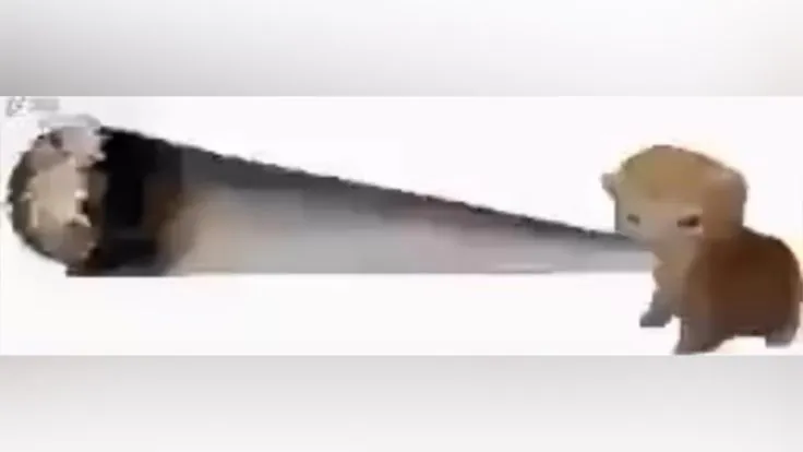 BeyzoX1