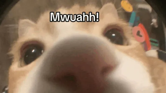 MarshZXC
