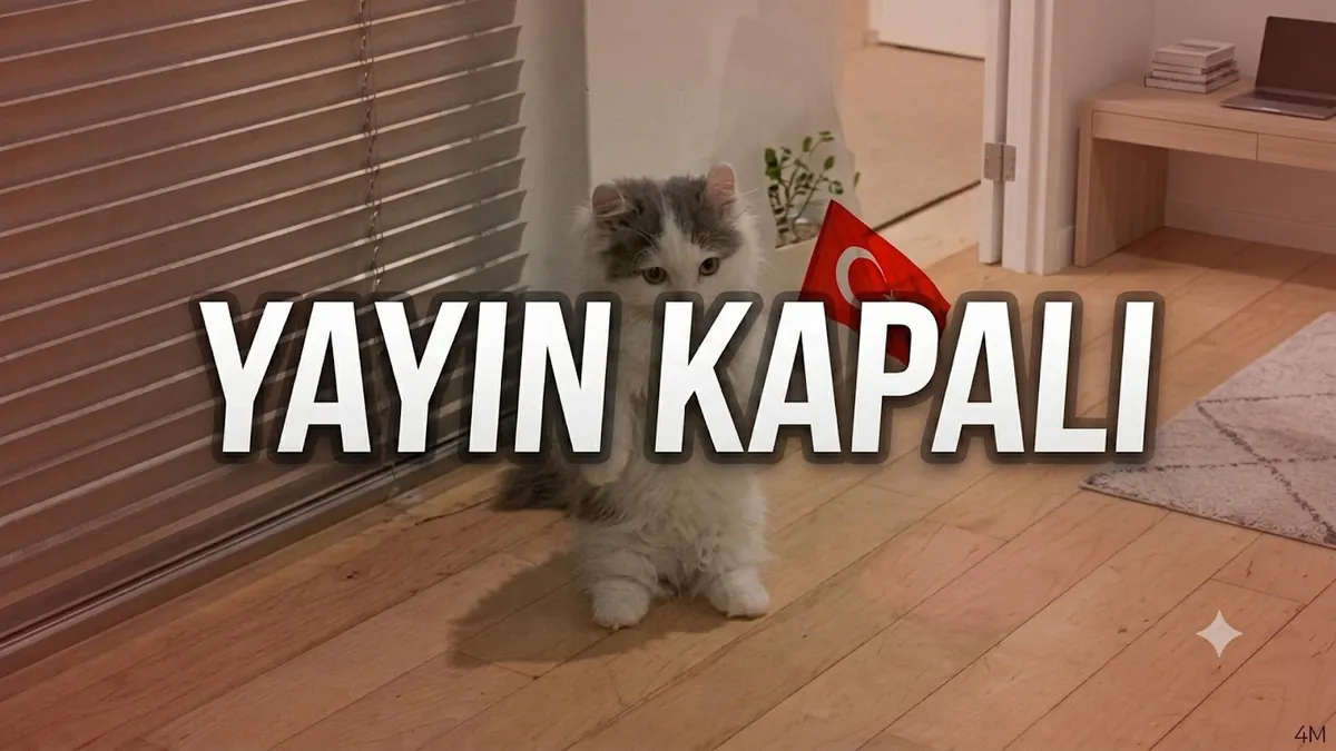 TurkKedisi