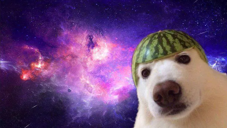 mnnkurt