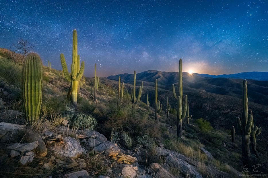 seanparkerphoto