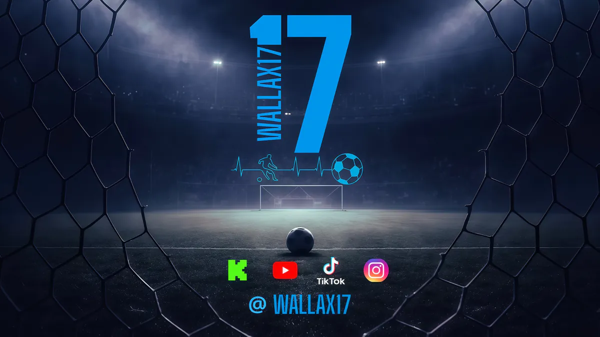 WallaX17