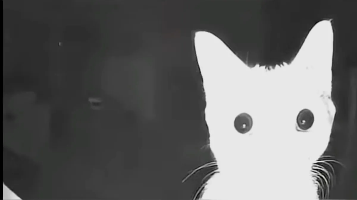 rad1koff