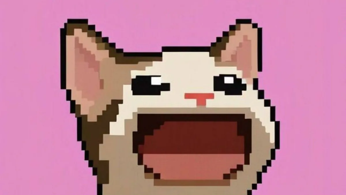 DAIZENzz