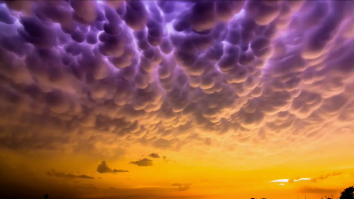 JonatanGonzalez