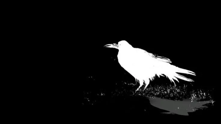 CROWFN8